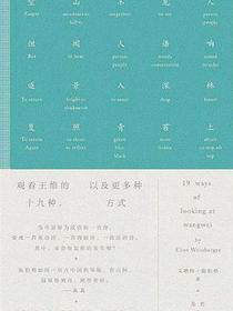 观看王维的十九种方式