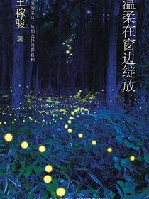温柔在窗边绽放