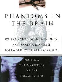 Phantoms in the Brain