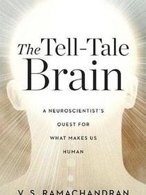 The Tell-Tale Brain