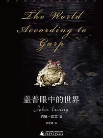 盖普眼中的世界