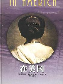 在美国