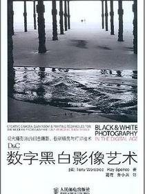 数字黑白影像艺术