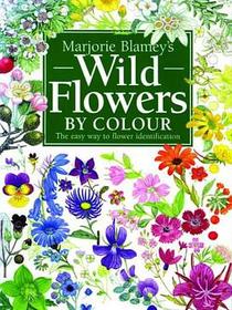 Wild Flowers by Colour