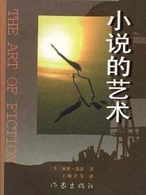小说的艺术