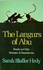 The Langurs of Abu