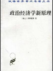 政治经济学新原理
