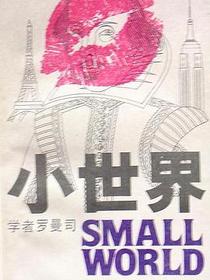 小世界