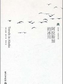 阿拉斯加的冰川