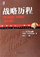 战略历程