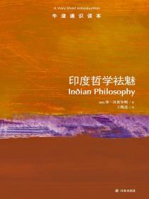 牛津通识读本：印度哲学祛魅