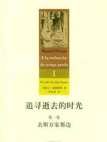 追寻逝去的时光（第一卷）