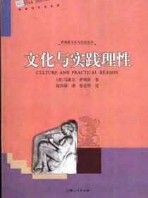 文化与实践理性