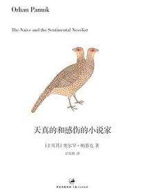 天真的和感伤的小说家