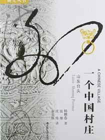 一个中国村庄