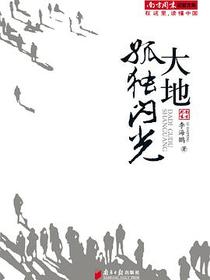 大地孤独闪光