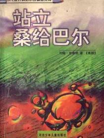 站立桑给巴尔
