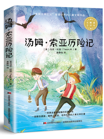 汤姆·索亚历险记