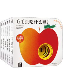 奇妙洞洞书系列·第一辑（套装全6册）