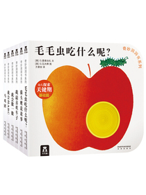 奇妙洞洞书系列：幼儿探索关键期认知篇（套装全6册）
