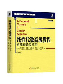 线性代数高级教程：矩阵理论及应用