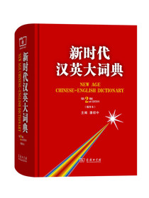 新时代汉英大词典（第2版缩印本） 全国翻译资格水平考试英语二三级笔译必备工具书 考试中心推荐用书