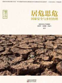 居危思危：国家安全与乡村治理
