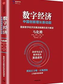 数字经济：中国创新增长新动能