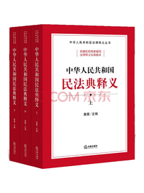 中华人民共和国民法典释义（上中下）
