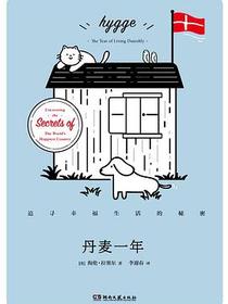 丹麦一年