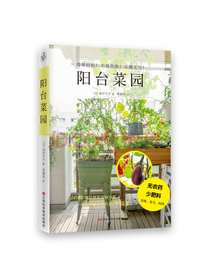 阳台菜园