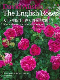 生活美学：大卫·奥斯汀迷人的英国玫瑰