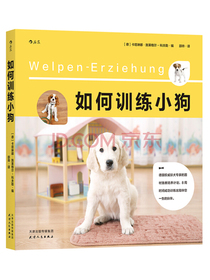 如何训练小狗