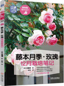 藤本月季 玫瑰12月栽培笔记