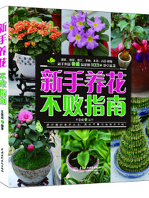 新手养花不败指南
