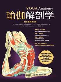 瑜伽解剖学（全彩图解第2版）