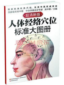 人体经络穴位标准大图册