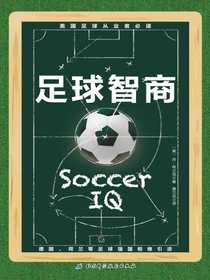 足球智商
