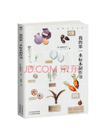 我的第一本标本制作书