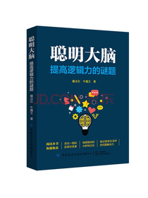 聪明大脑：提高逻辑力的谜题