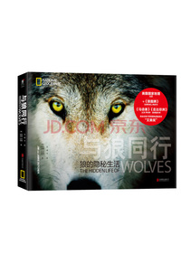 与狼同行 狼的隐秘生活
