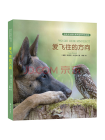 爱飞往的方向