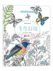 秘密花园涂绘学院丛书：飞鸟幻境