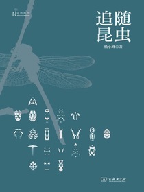 追随昆虫