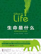 生命是什么