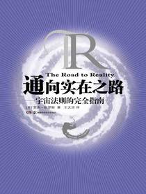通向实在之路