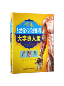 标准经络穴位图谱（大字真人版）