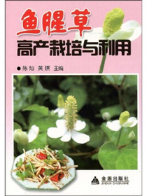 鱼腥草高产栽培与利用
