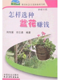 怎样选种盆花赚钱：种植业篇