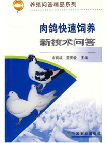 肉鸽快速饲养新技术问答